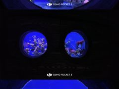 -南昌海洋公园