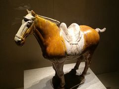-宁夏博物馆
