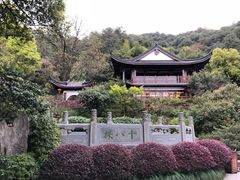 -十八棵（老龙井）御茶园(老龙井店)