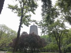 -玲珑塔公园