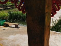 -同銮特种养殖场·龙虾垂钓