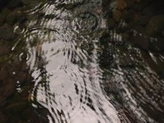 -元生咖啡(陶溪川店)