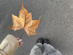 -郑州方特梦幻王国