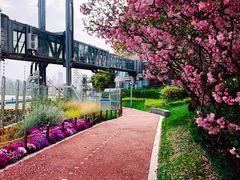 -北外滩滨江绿地