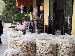 -江门古兜温泉小镇
