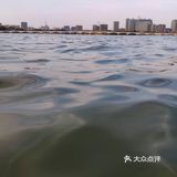 顺光的照片特别美，可以做百家湖的宣传图了