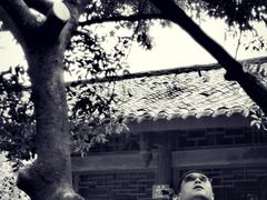 -寻龙山风景旅游区