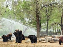 -北京野生动物园