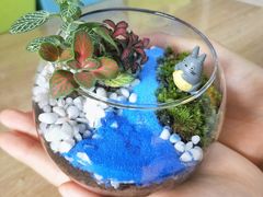 -A+匠心DIY手工坊·首饰·微景观