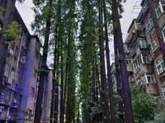 -东南大学(四牌楼校区)
