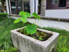 -常熟方塔园