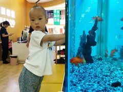 -澳洲袋鼠早教(金辉环球广场店)