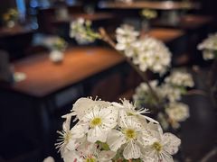 -天水蔬食料理(树德之光店)