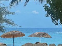 -B&C黄油与面包·THE GARDEN BAKERY概念店(世纪汇店)