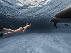 -亚龙湾海底世界