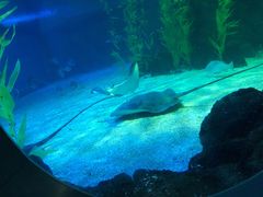 -常州海昌海洋探索馆