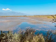 -野鸭湖国家湿地公园