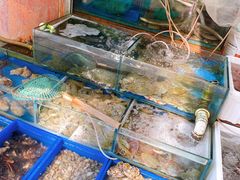 -香满居张记小厨私房菜(青岛站店)