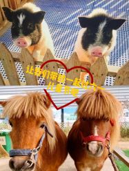 -萌宠亲子动物乐园(槐房万达店)