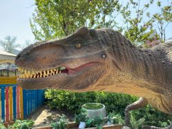 -萌宠亲子动物乐园(槐房万达店)