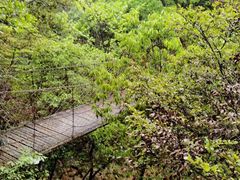 -祁门牯牛降观音堂风景区