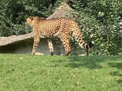 -北京野生动物园