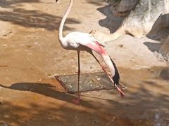 -昆明动物园