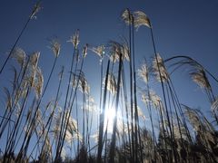-山王坪喀斯特国家生态公园
