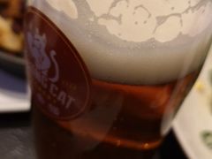 -Boxing Cat Brewery拳击猫精酿啤酒馆(永福店)