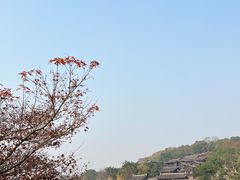 -重庆园博园