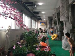 -兴芮温泉度假区