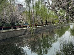 -元大都城垣遗址公园