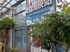 -南宫五洲植物乐园