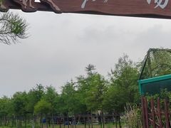 -合肥滨湖国家森林公园