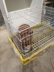 -酷嗒动物文化乐园(cutezoo西溪乐天城店)