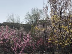 -绿岛公园(滨海新区)