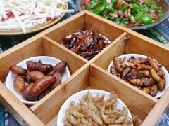 虫四拼-昆虫窝子·特色云南菜(拓东路总店)