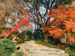 -宝界山林公园