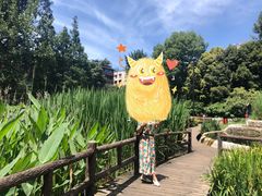 -成都市活水公园