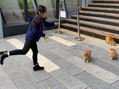 -星巴克(深圳前海企业公馆店)