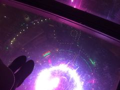 -东方明珠国际旅行社有限公司