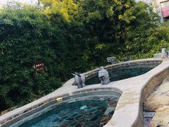 -中家鑫园温泉酒店鑫悦汤泉