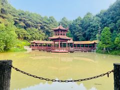 -铁山坪森林公园