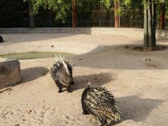 -鄂尔多斯野生动物园