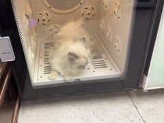 -FAELING PETS美天灵宠物(富力广场店)