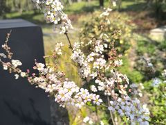 -上海吴淞炮台湾国家湿地公园