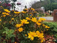 -东莞植物园