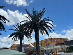 -上海玛雅海滩水公园