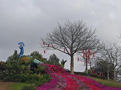 -东莞植物园
