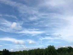 -同里国家湿地公园